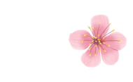 *永顺小诗五首* 作者 舞者永顺（安徽）【冰心文化传媒】（图6）